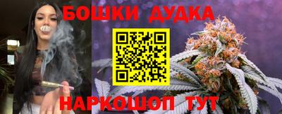 индика Моздок