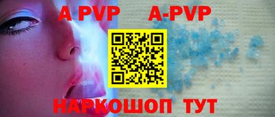 индика Моздок