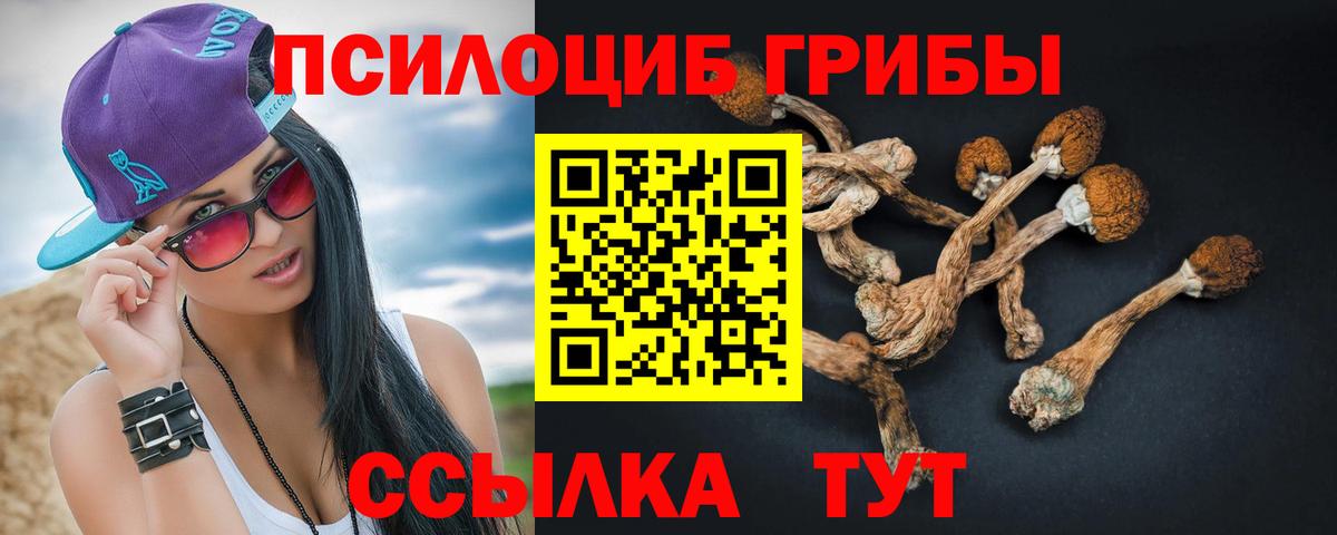 Псилоцибиновые грибы мицелий  где продают   Чебаркуль  Вход с VPN 